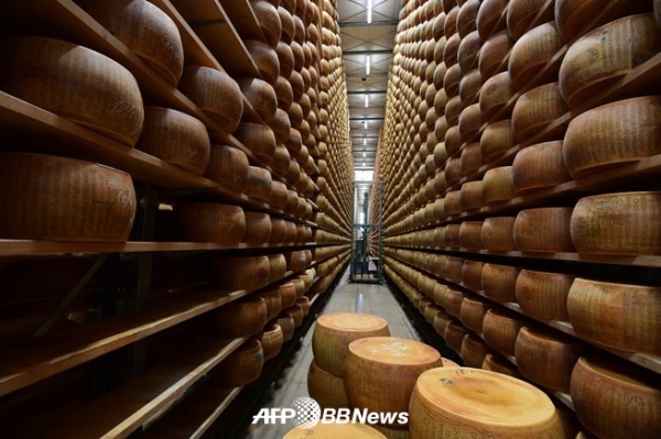 이탈리아 한 농장의 치즈(자료사진) ⓒAFPBBNews