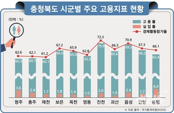 2019년 상반기 충청북도 주요 고용지표 현황 그래프 [사진=진천군]