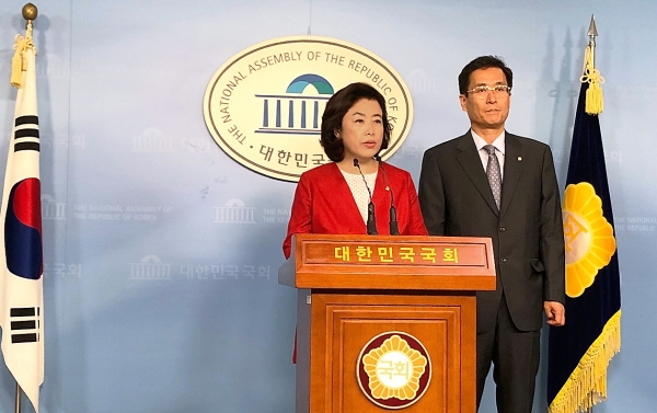 국회 국토교통위원장인 자유한국당 박순자 의원이 서남부 황금노선인 신안산선 착공에 대해 설명하고 있다.[사진=의원실 제공]