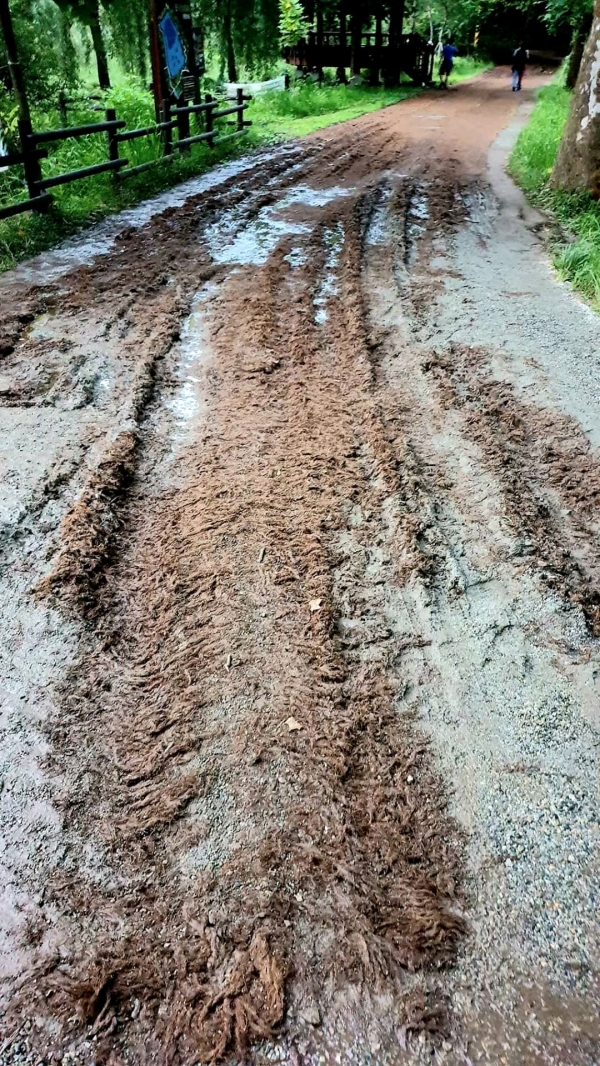 오송제 주변 둘레길에 깔아놓은 부직포가 진흙탕으로 얼룩져 정비가 시급하다
