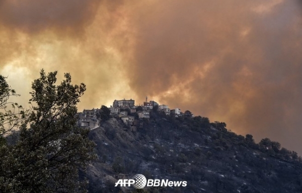 알제리 북부의 산악지대 카비리 지방에서 일어난 산불의 연기 ⓒAFPBBNews