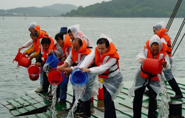 목포시가 감성돔 수산종자 26만 마리를 압해대교 인근 해역에 방류했다. / 목포시 제공