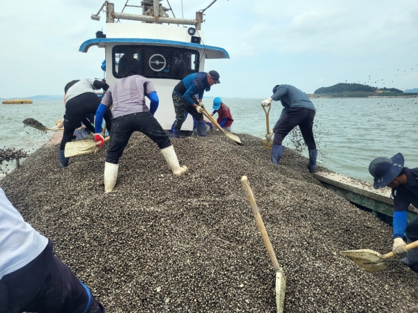 어업 자원 회복 위한 활동 ‘눈길’ / 함평군 제공