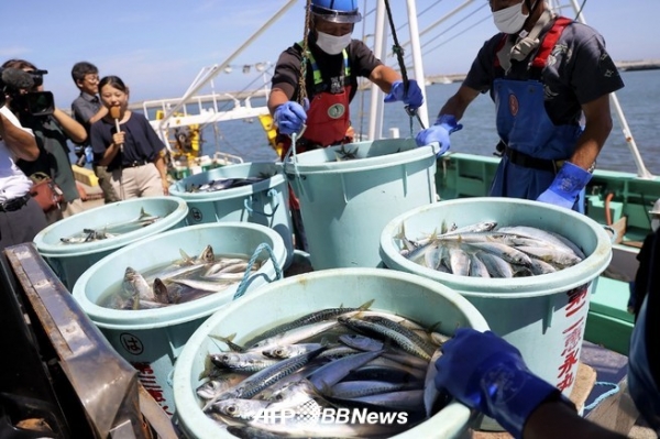 도쿄전력 후쿠시마 제1원자력발전소에서 처리된 폐수를 방류하기 시작한 지 약 일주일 후인 2023년 9월 1일, 후쿠시마현 소마시의 마츠카와우라 항구에서 어업 종사자들이 잡은 해산물을 하역하고 있다. ⓒAFPBBNew