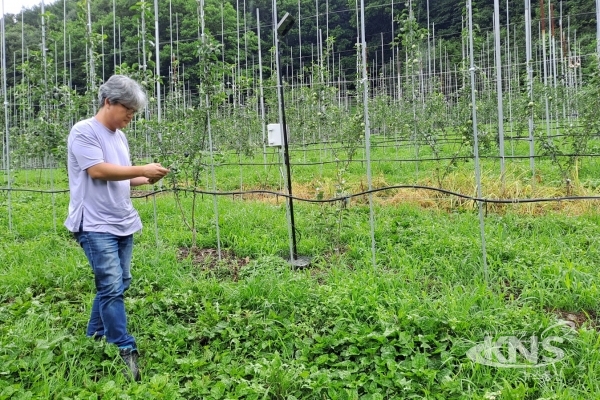 농업인이 스마트폰으로 농작업 현황을 점검하고 있다. [사진=영주시]